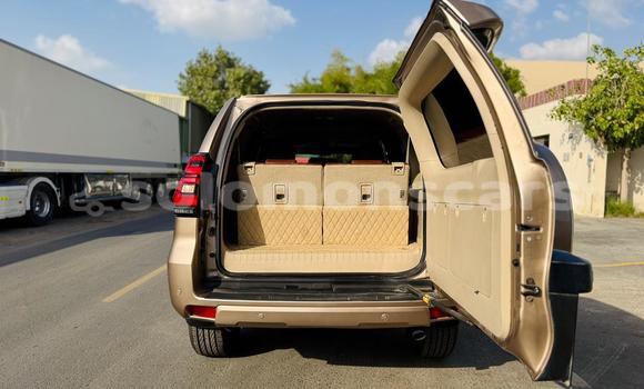 Buy Import Toyota Land Cruiser Prado Other Car in Honiara in Guadalcanal Buy Import Toyota Land Cruiser Prado Other Car in Honiara in Guadalcanal