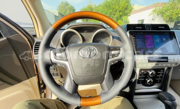 Buy Import Toyota Land Cruiser Prado Other Car in Honiara in Guadalcanal Buy Import Toyota Land Cruiser Prado Other Car in Honiara in Guadalcanal