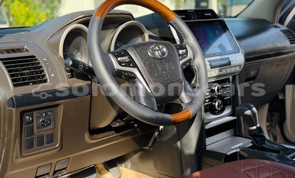 Buy Import Toyota Land Cruiser Prado Other Car in Honiara in Guadalcanal Buy Import Toyota Land Cruiser Prado Other Car in Honiara in Guadalcanal