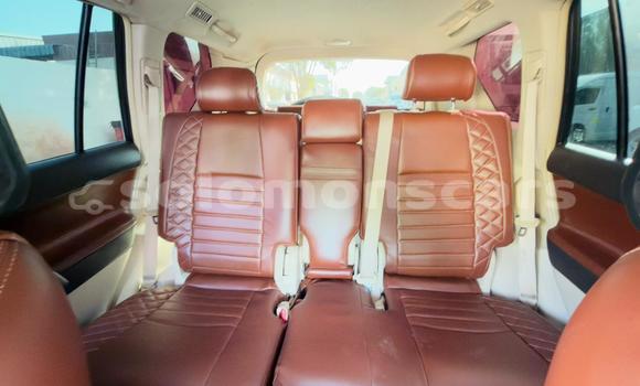 Buy Import Toyota Land Cruiser Prado Other Car in Honiara in Guadalcanal Buy Import Toyota Land Cruiser Prado Other Car in Honiara in Guadalcanal