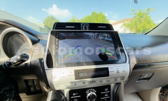 Buy Import Toyota Land Cruiser Prado Other Car in Honiara in Guadalcanal Buy Import Toyota Land Cruiser Prado Other Car in Honiara in Guadalcanal