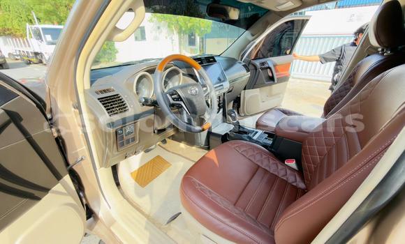 Buy Import Toyota Land Cruiser Prado Other Car in Honiara in Guadalcanal Buy Import Toyota Land Cruiser Prado Other Car in Honiara in Guadalcanal