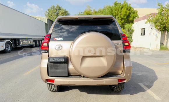 Buy Import Toyota Land Cruiser Prado Other Car in Honiara in Guadalcanal Buy Import Toyota Land Cruiser Prado Other Car in Honiara in Guadalcanal