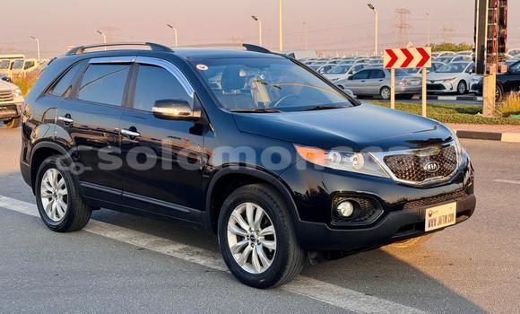 Buy Import Kia Sorento Black Car in Honiara in Guadalcanal Buy Import Kia Sorento Black Car in Honiara in Guadalcanal