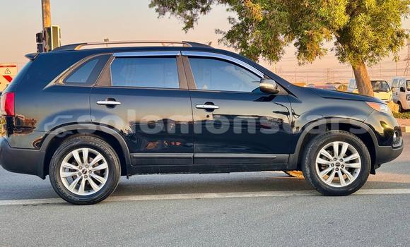 Buy Import Kia Sorento Black Car in Honiara in Guadalcanal Buy Import Kia Sorento Black Car in Honiara in Guadalcanal