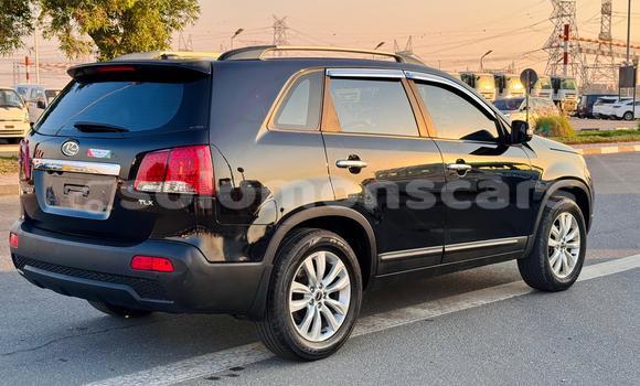 Buy Import Kia Sorento Black Car in Honiara in Guadalcanal Buy Import Kia Sorento Black Car in Honiara in Guadalcanal