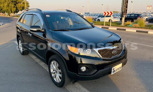 Buy Import Kia Sorento Black Car in Honiara in Guadalcanal Buy Import Kia Sorento Black Car in Honiara in Guadalcanal
