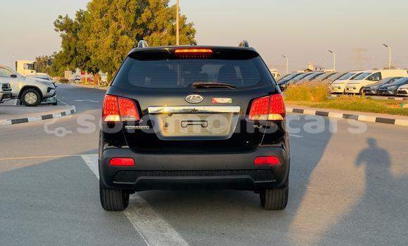 Buy Import Kia Sorento Black Car in Honiara in Guadalcanal Buy Import Kia Sorento Black Car in Honiara in Guadalcanal
