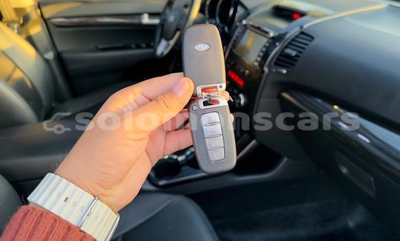 Buy Import Kia Sorento Black Car in Honiara in Guadalcanal Buy Import Kia Sorento Black Car in Honiara in Guadalcanal