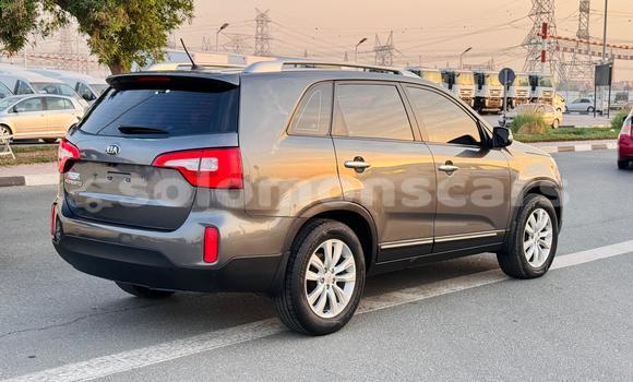 Buy Import Kia Sorento Other Car in Honiara in Guadalcanal Buy Import Kia Sorento Other Car in Honiara in Guadalcanal