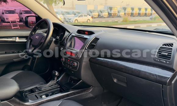 Buy Import Kia Sorento Other Car in Honiara in Guadalcanal Buy Import Kia Sorento Other Car in Honiara in Guadalcanal