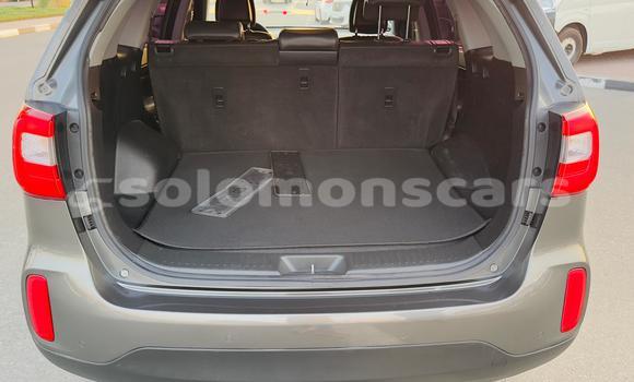 Buy Import Kia Sorento Other Car in Honiara in Guadalcanal Buy Import Kia Sorento Other Car in Honiara in Guadalcanal