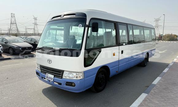Buy Import Toyota Coaster White Car in Honiara in Guadalcanal Buy Import Toyota Coaster White Car in Honiara in Guadalcanal