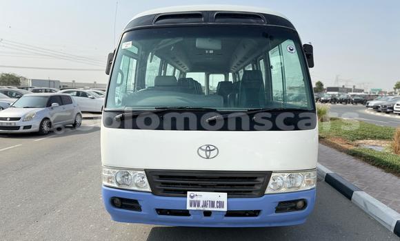 Buy Import Toyota Coaster White Car in Honiara in Guadalcanal Buy Import Toyota Coaster White Car in Honiara in Guadalcanal