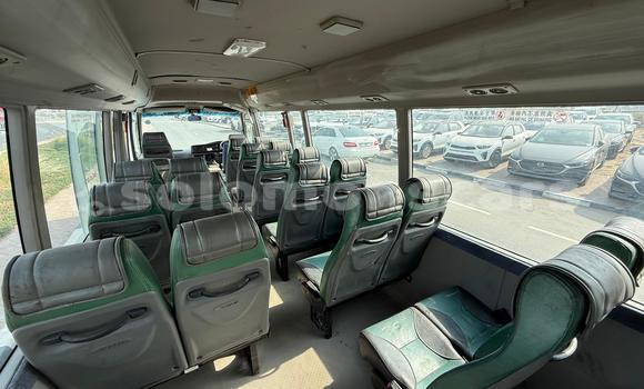 Buy Import Toyota Coaster White Car in Honiara in Guadalcanal Buy Import Toyota Coaster White Car in Honiara in Guadalcanal