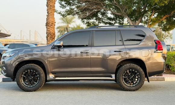 Buy Import Toyota Land Cruiser Prado Other Car in Honiara in Guadalcanal Buy Import Toyota Land Cruiser Prado Other Car in Honiara in Guadalcanal