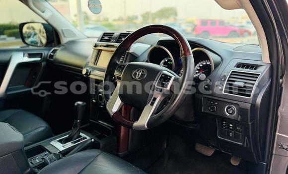 Buy Import Toyota Land Cruiser Prado Other Car in Honiara in Guadalcanal Buy Import Toyota Land Cruiser Prado Other Car in Honiara in Guadalcanal