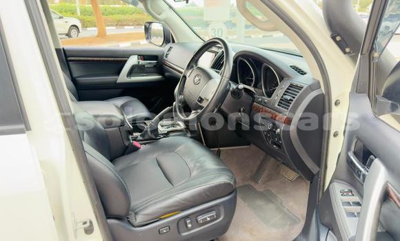 Buy Import Toyota Land Cruiser White Car in Honiara in Guadalcanal Buy Import Toyota Land Cruiser White Car in Honiara in Guadalcanal