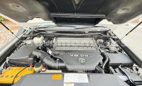 Buy Import Toyota Land Cruiser White Car in Honiara in Guadalcanal Buy Import Toyota Land Cruiser White Car in Honiara in Guadalcanal
