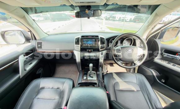 Buy Import Toyota Land Cruiser White Car in Honiara in Guadalcanal Buy Import Toyota Land Cruiser White Car in Honiara in Guadalcanal