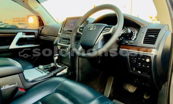 Buy Used Toyota Land Cruiser Other Car in Honiara in Guadalcanal Buy Used Toyota Land Cruiser Other Car in Honiara in Guadalcanal