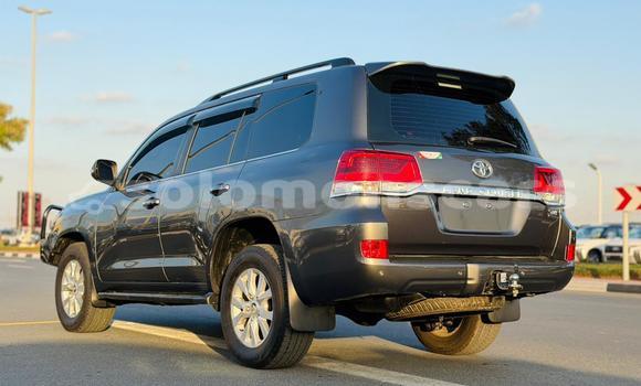 Buy Used Toyota Land Cruiser Other Car in Honiara in Guadalcanal Buy Used Toyota Land Cruiser Other Car in Honiara in Guadalcanal