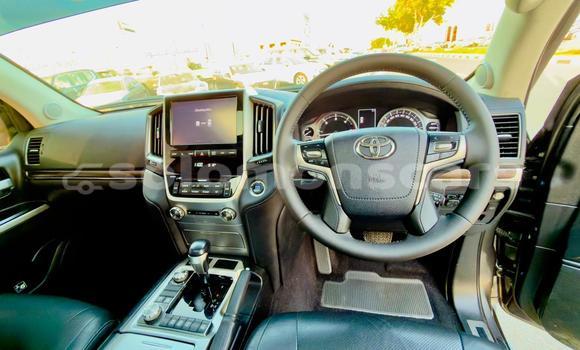 Buy Used Toyota Land Cruiser Other Car in Honiara in Guadalcanal Buy Used Toyota Land Cruiser Other Car in Honiara in Guadalcanal