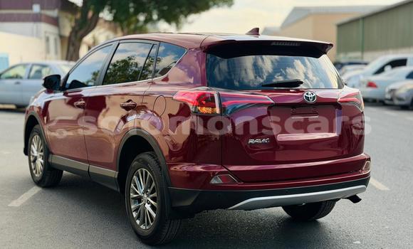 Buy Used Toyota RAV4 Red Car in Honiara in Guadalcanal Buy Used Toyota RAV4 Red Car in Honiara in Guadalcanal