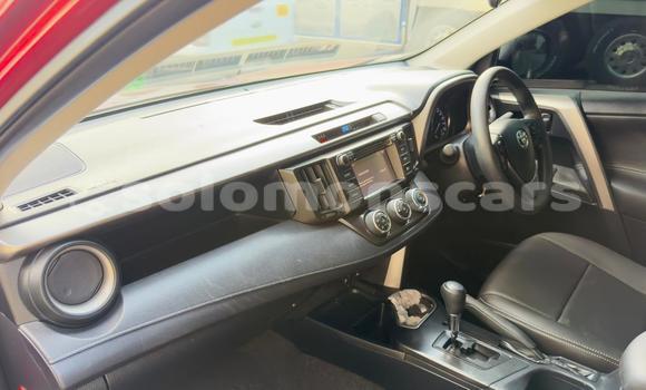 Buy Used Toyota RAV4 Red Car in Honiara in Guadalcanal Buy Used Toyota RAV4 Red Car in Honiara in Guadalcanal