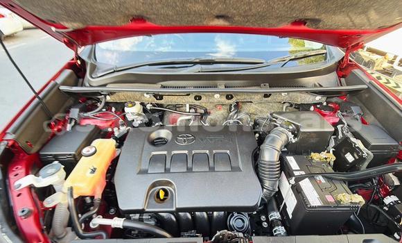 Buy Used Toyota RAV4 Red Car in Honiara in Guadalcanal Buy Used Toyota RAV4 Red Car in Honiara in Guadalcanal