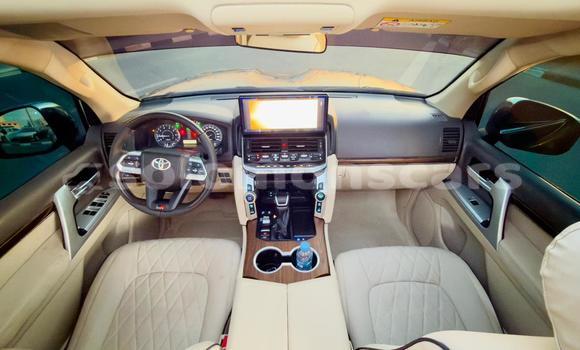 Buy Used Toyota Land Cruiser Black Car in Honiara in Guadalcanal Buy Used Toyota Land Cruiser Black Car in Honiara in Guadalcanal