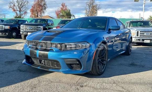 Buy Used Dodge Charger Blue Car in Honiara in Guadalcanal