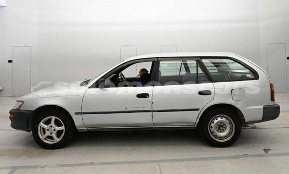 Buy Used Toyota Corolla Silver Car in Honiara in Guadalcanal