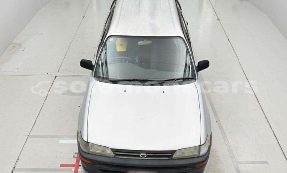 Buy Used Toyota Corolla Silver Car in Honiara in Guadalcanal Buy Used Toyota Corolla Silver Car in Honiara in Guadalcanal