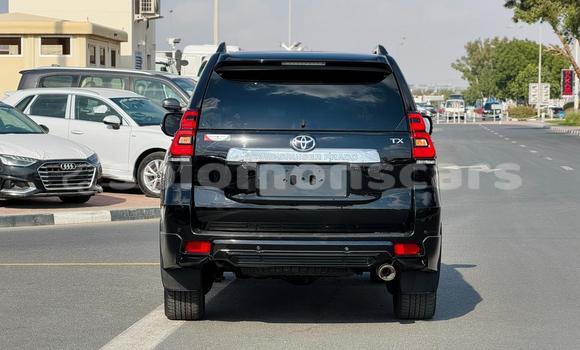 Buy Used Toyota Land Cruiser Prado Black Car in Gizo in Western Buy Used Toyota Land Cruiser Prado Black Car in Gizo in Western