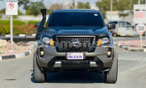 Buy Used Nissan Navara Brown Car in Gizo in Western Buy Used Nissan Navara Brown Car in Gizo in Western