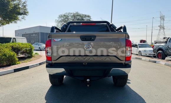 Buy Used Nissan Navara Brown Car in Gizo in Western Buy Used Nissan Navara Brown Car in Gizo in Western