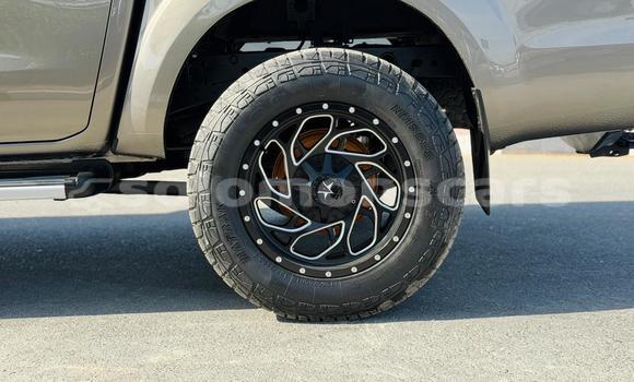 Buy Used Nissan Navara Brown Car in Gizo in Western Buy Used Nissan Navara Brown Car in Gizo in Western