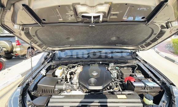 Buy Used Nissan Navara Brown Car in Gizo in Western Buy Used Nissan Navara Brown Car in Gizo in Western