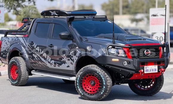 Buy Used Nissan Navara Other Car in Honiara in Guadalcanal