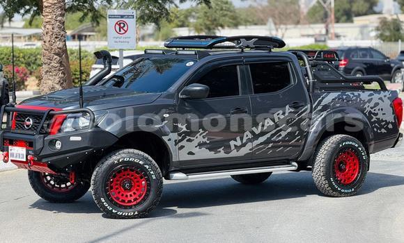 Buy Used Nissan Navara Other Car in Honiara in Guadalcanal Buy Used Nissan Navara Other Car in Honiara in Guadalcanal