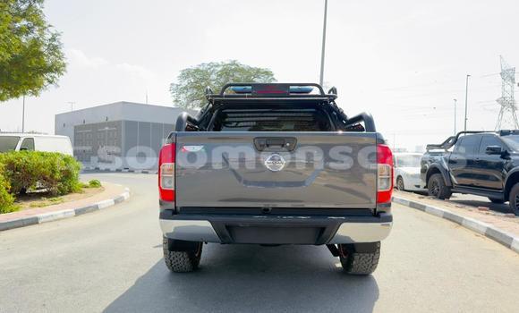 Buy Used Nissan Navara Other Car in Honiara in Guadalcanal Buy Used Nissan Navara Other Car in Honiara in Guadalcanal