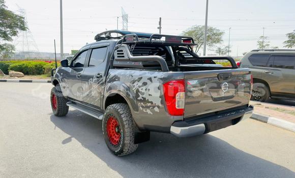 Buy Used Nissan Navara Other Car in Honiara in Guadalcanal Buy Used Nissan Navara Other Car in Honiara in Guadalcanal