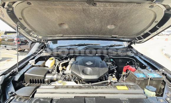 Buy Used Nissan Navara Other Car in Honiara in Guadalcanal Buy Used Nissan Navara Other Car in Honiara in Guadalcanal