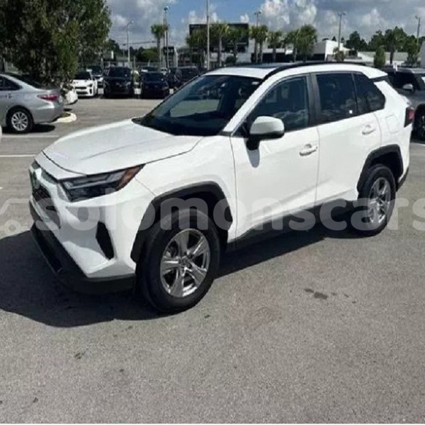 Big with watermark toyota rav4 malaita dingo dingo 1228