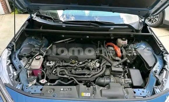 Buy Used Toyota RAV4 Blue Car in Honiara in Guadalcanal Buy Used Toyota RAV4 Blue Car in Honiara in Guadalcanal