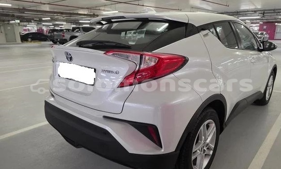 Buy Used Toyota C-HR White Car in Buala in Isabel Buy Used Toyota C-HR White Car in Buala in Isabel