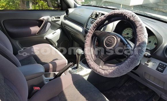 Buy Used Toyota RAV4 Other Car in Nendo in Temotu Buy Used Toyota RAV4 Other Car in Nendo in Temotu