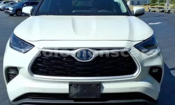 Buy Used Toyota Highlander White Car in Santa Isabel Island in Isabel