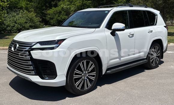 Buy Used Lexus LX White Car in Dingo Dingo in Malaita